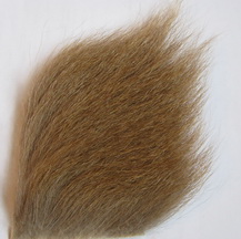 ������� ���������� ���������� ����������� / brown nat.